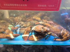 -四海蒸鲜蒸汽海鲜自助(北戴河店)