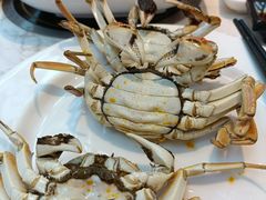-半岛听涛蒸汽海鲜自助(K11店)