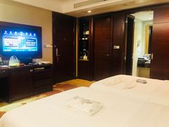 -圣爵菲斯大酒店(长沙世界之窗店)