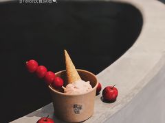 开胃山楂味雪糕-歎雪糕低糖低脂Gelato冰淇淋