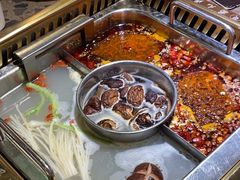 -蜀九鼎·四川火锅·毛肚是招牌(惠安店)