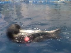 -太平洋海底世界