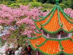 -东莞观音山旅游风景区