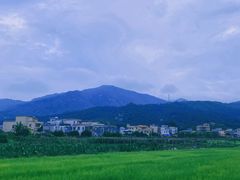 -大赤坎肥仔强烧味海鲜餐厅(大赤坎店)