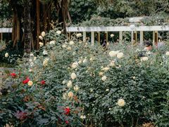 -人民公园(罗湖区)