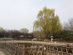 -东升八家郊野公园