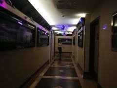 -东方之珠KTV娱乐超市(河北店)