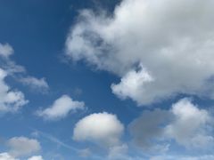 -金孔雀温泉旅游度假村