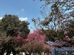 -昆明动物园