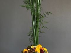 -荷兰布尔玛国际花艺学院