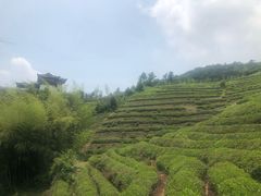 -径山寺