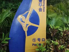 -演武大桥观景平台