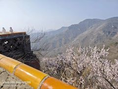 -妙峰山风景名胜区