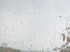 -金鸡湖桃花岛