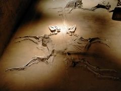 -洛阳周王城天子驾六博物馆