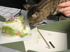 -小苍兰风铃草蛋糕甜品(沈阳店)