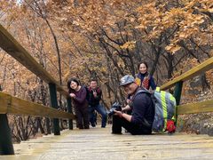 -吉林市朱雀山国家森林公园