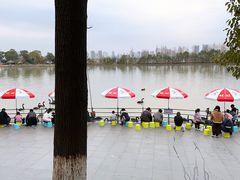 -艾溪湖湿地公园