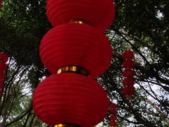-番禺大夫山森林公园