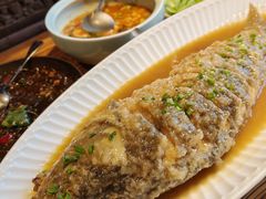 黄河大鲤鱼-食欲老院子荆芥疙瘩汤(经五路店)