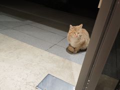 -万达坊(花园路店)