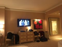 -拉斯维加斯永利酒店