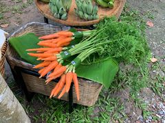 -Bamboo Saturday Market(Nana Jungle)