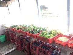 -重庆特色冷锅鱼(武大店)