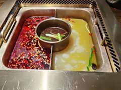 -九鼎轩脆毛肚火锅(商业街店)