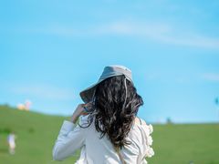 -大姆山草场