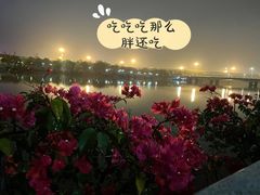 -光明港公园