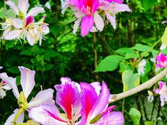 -桤木河湿地公园