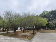 -中山市树木园