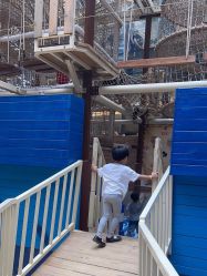 点击看大图 -PIPIKINGDOM皮皮王国欢乐号(欢乐海岸购物中心店)