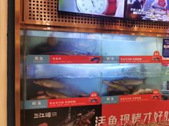-三江源活鱼现烤(维多利摩尔城店)