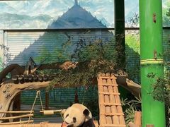 -灵玲国际马戏城