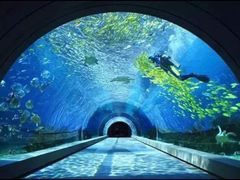 -多彩贵州城极地海洋世界