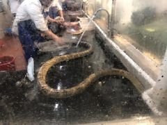 -荔城生鲜盛宴(番禺旗舰店)