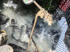 -爱你您·自家鱼塘·活水喷泉鱼火锅(八里店)