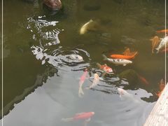 -凤凰山斑鱼馆(恭城店)