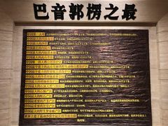 -巴音郭楞蒙古自治州博物馆