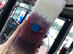 -兰熊鲜奶(西直门凯德mall店)