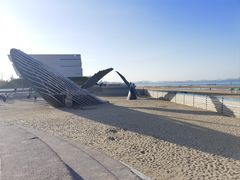 -烟台金沙滩海滨公园