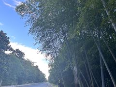 -云幽谷旅游区