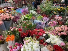 -双季花艺园艺市场(浦东店)