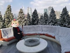 -城市露台景观餐厅(淮海路店)