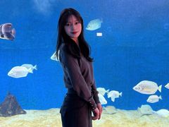 -合肥海洋世界
