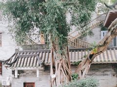-广州三元宫