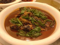 昂刺鱼-怡园饭店-餐厅(四望亭店)