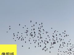 -锦屏公园